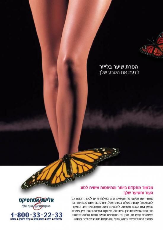 אלישע אסתטיקס